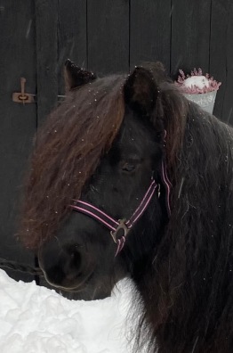 December 2021 innan avfärd till sitt nya hem <3