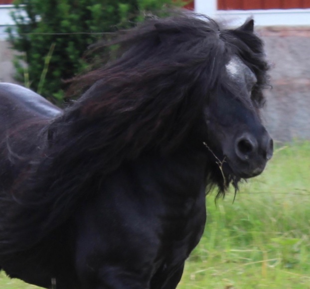 Sommaren 2019