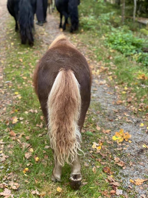 4mån