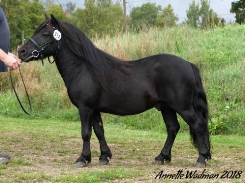 Foto: Annette Wadman