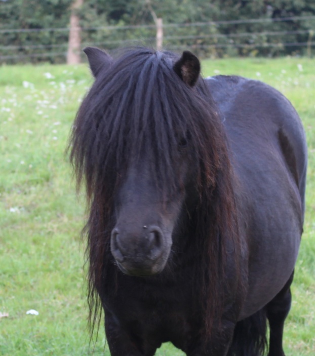 3 år (aug 2019)