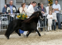 Mamma Verona i NL. Lånat foto.