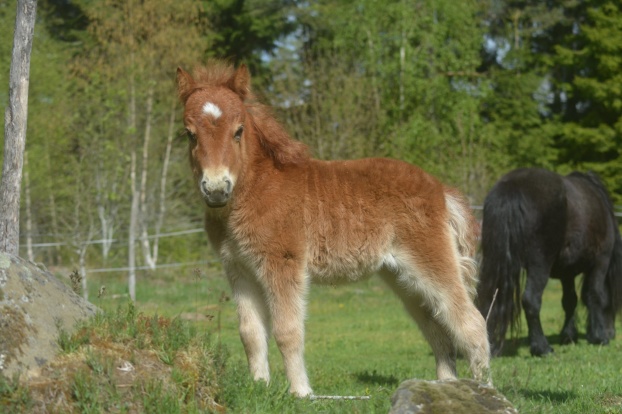 Rara 1 månad. Rara 1 månad.