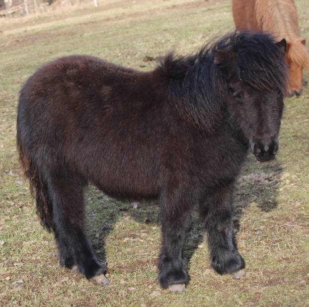 Aura 9.5mån