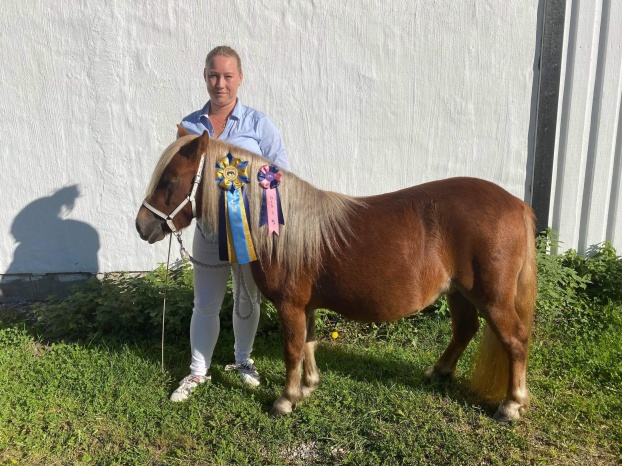 Rara på sin utställningsdebut med nya ägaren Sandra.