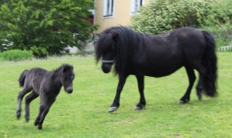 10m dygn