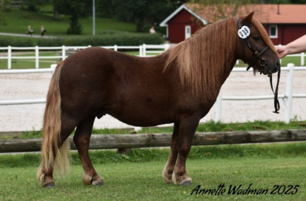 Foto: Annette Wadman