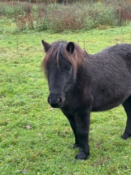 Malle 2år Malle 2år