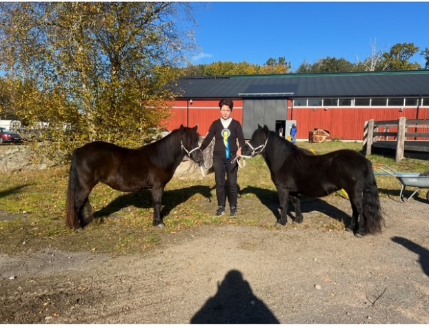 Långasjö 11/10: Pernilla hjälpte oss att visa stona. Långasjö 11/10: Pernilla hjälpte oss att visa stona.