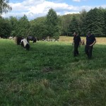 Magnus o Mikael i hagen