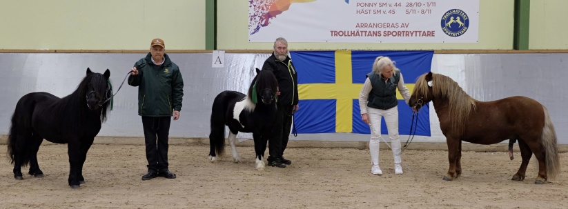 Våra tre uppfödningar födda 2017 som vid avelsvärdering 2020 godkändes för avel. Fr . vä MacLord A (visare Mats Karlsson), MacQuince (uppfödare Magnus) och MacLyric (ägare Gunilla Hjort, Kölnäs Stuteri).