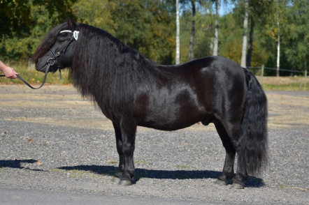 Yaght v.d. Belschuur RS 547. Foto: Annette Wadman.