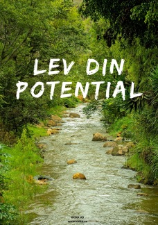 Lev Din Potential - Lev Din Potential