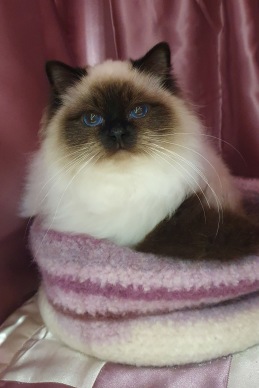 Önska i Södertälje