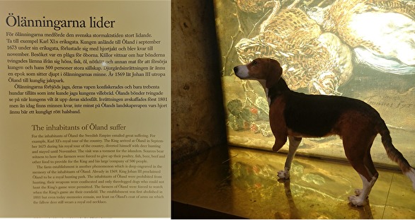 Foto: från Borgholm Slott - enbart trebenta hundar var tillåtna på 1600-talet