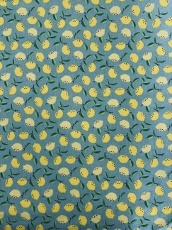 Citronerna - Citroner