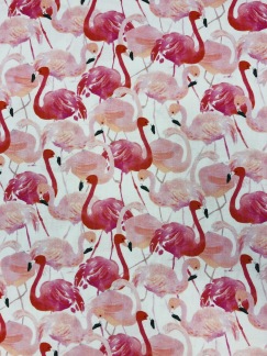 Rosa flamingo - Rosa flamingo