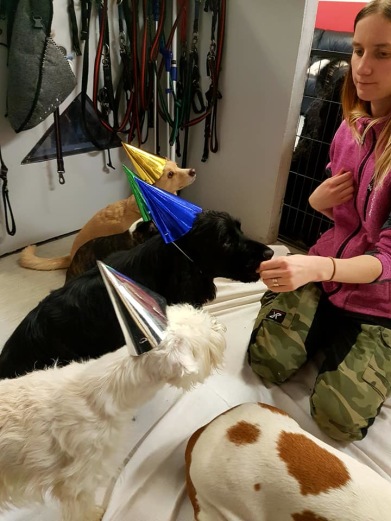 ANNA har tidigare arbetat på andra hunddagis men är anställd hos oss sedan okt-16. Anna har Labradoren Cola. ANNA har tidigare arbetat på andra hunddagis men är anställd hos oss sedan okt-16. Anna har Labradoren Cola.