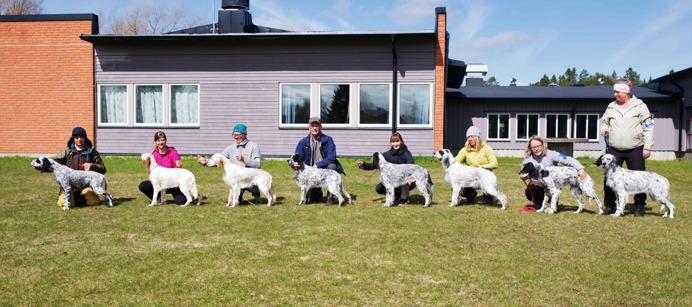 8 x skedoms från samma kull 8 x skedoms från samma kull