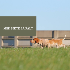 Med sikte på fältprov