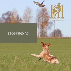 Stoppsignal - Stoppsignal