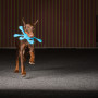 Hundinstruktör-distansutbildning