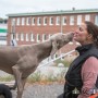 Hunddagisutbildning tillägg-distansutbildning