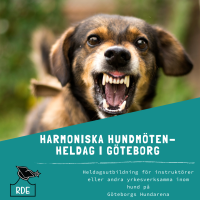 Harmoniska hundmöten-heldag i Göteborg