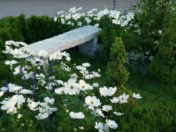 Den grovt huggna stenbänken smälter väl in med grönskan och de skira blommorna. Den grovt huggna stenbänken smälter väl in med grönskan och de skira blommorna.