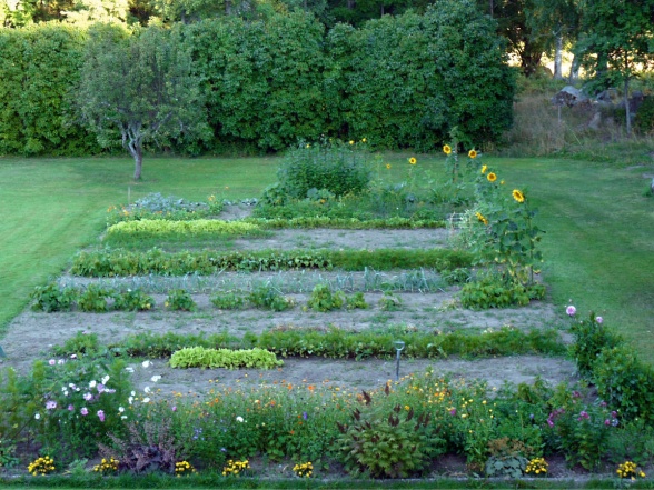 Ett trädgårdsland modell större med plats för både sommarblommor, perenner och grödor. Här samsas solrosor, rosenskära och tagetes, flox och alunrot med sallat, morötter, bönor, jordärtskockor och potatis. Ett trädgårdsland modell större med plats för både sommarblommor, perenner och grödor. Här samsas solrosor, rosenskära och tagetes, flox och alunrot med sallat, morötter, bönor, jordärtskockor och potatis.