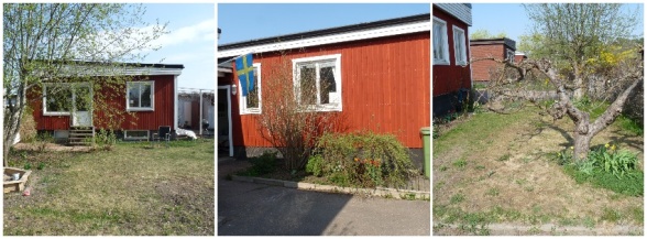 Några bilder som visar trädgården idag. I stort sett hela trädgården är i behov av att förnyas för att skapa en plats där familjen kan trivas och njuta av utelivet. Några bilder som visar trädgården idag. I stort sett hela trädgården är i behov av att förnyas för att skapa en plats där familjen kan trivas och njuta av utelivet.