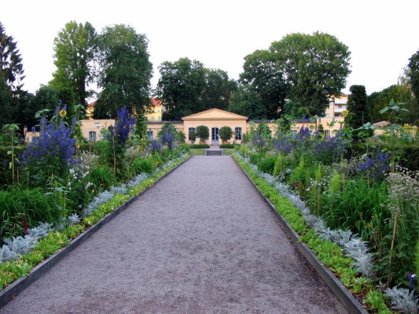 Linnéträdgårdens orangeri i blickfånget Linnéträdgårdens orangeri i blickfånget