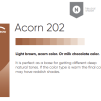 Pigment Acorn 202