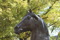 Staty Kentucky Horse Park Foto Åsa Nilsson