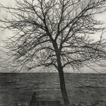 Strandvejen
