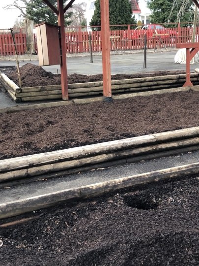 vårarbete på plantskolan vårarbete på plantskolan