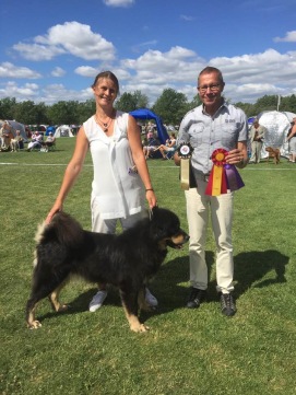Fanta BIR och bästa veteran i västerås 22 juli. Handler Maria Gustavsson Fanta BIR och bästa veteran i västerås 22 juli. Handler Maria Gustavsson