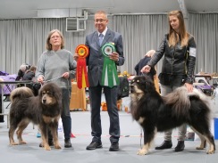 TIBETHUND 2019. Foto. C.Martiin.BIR Sandra BIM Keeon, båda hundarna från Mimayin TIBETHUND 2019. Foto. C.Martiin.BIR Sandra BIM Keeon, båda hundarna från Mimayin
