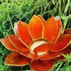 Lotusblomma ljuslykta - Orange - Stor Orange