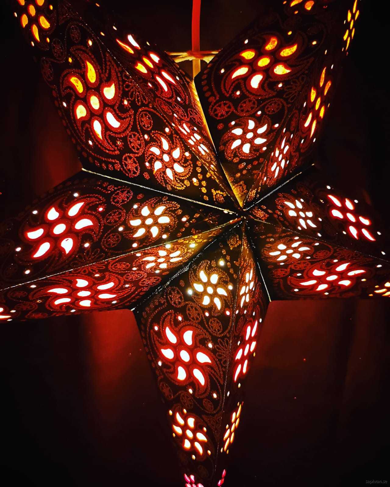 Svart, orientalisk julstjärna med varm, mysigt sken.