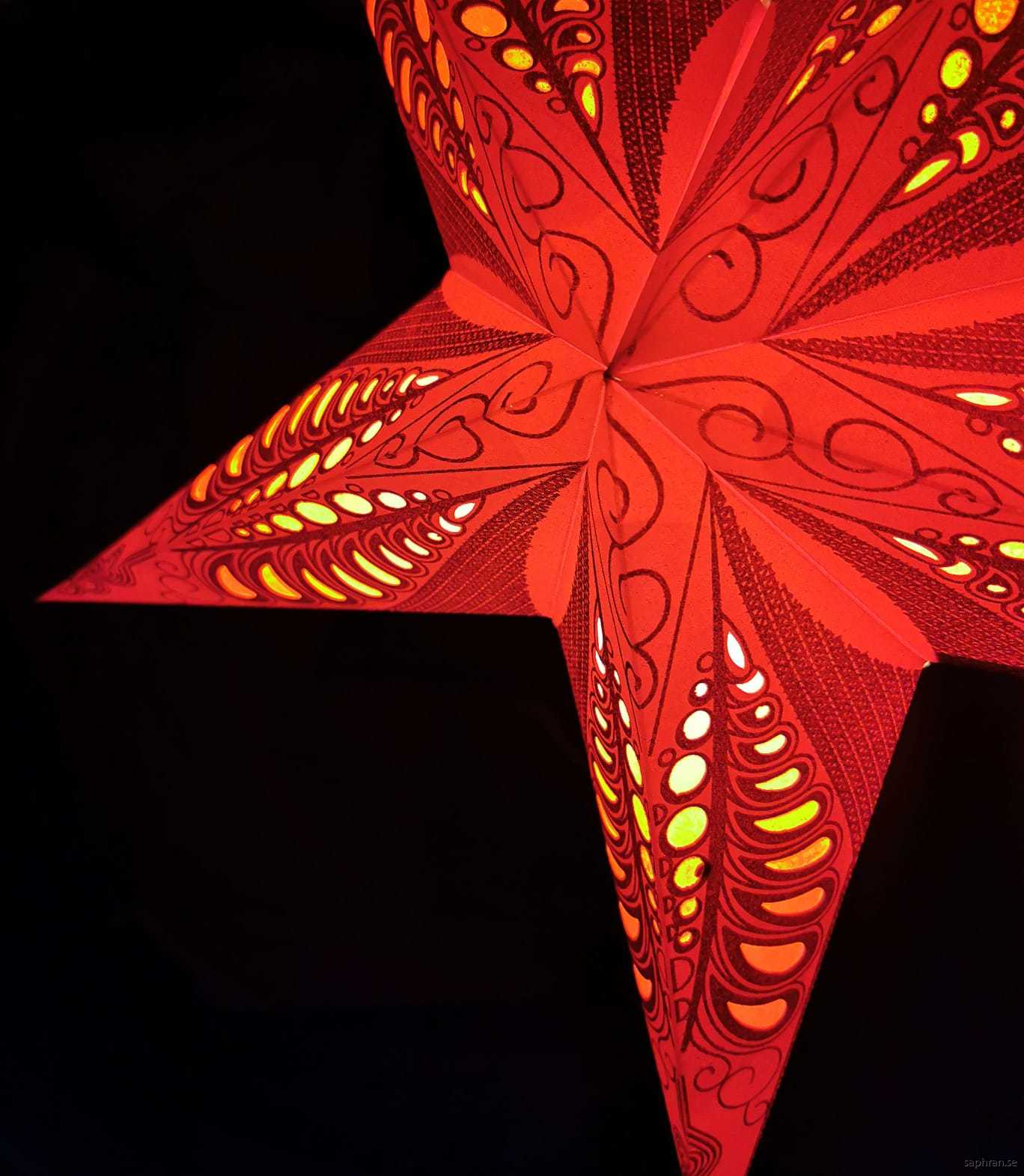 Orientalisk röd julstjärna