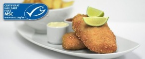 Tempura panerad Torsk 500 gr - Tempura cod 500 gr