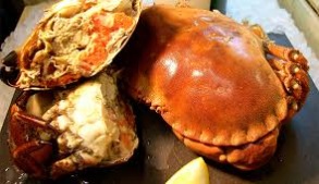 Krabba / North sea crab alive - North sea crab approx 600 gr+ kg