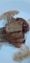 Anchovy/Ansjovis - Anchovy herring 1 kg