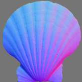 shell_normal_map