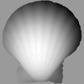 shell_depth_map