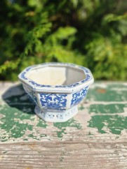 Blåvit kinesisk ytterfoder