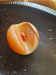 Alabaster persika eller nektarin