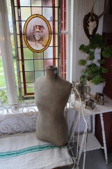 Torso