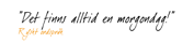 Segelin_citat5